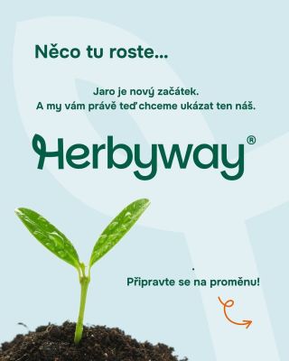🌱 Něco tu roste… 👉Jaro je časem nových začátků. Příroda se probouzí a roste, stejně tak i my. 👉Z maličkého semínka Herbs...