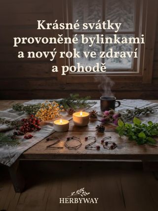 🎄✨ Z celého srdce děkujeme za vaši důvěru. Za každý nákup, zprávu i doporučení. Přejeme vám Vánoce plné klidu, zdraví a...